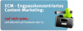 ECM – Engpasskonzentriertes Content-Marketing