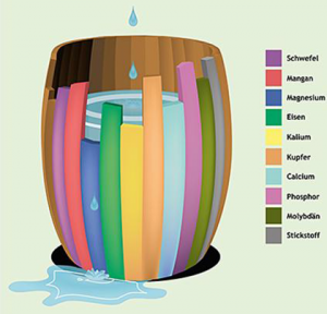 Grundlagen des Düngens nach Manna